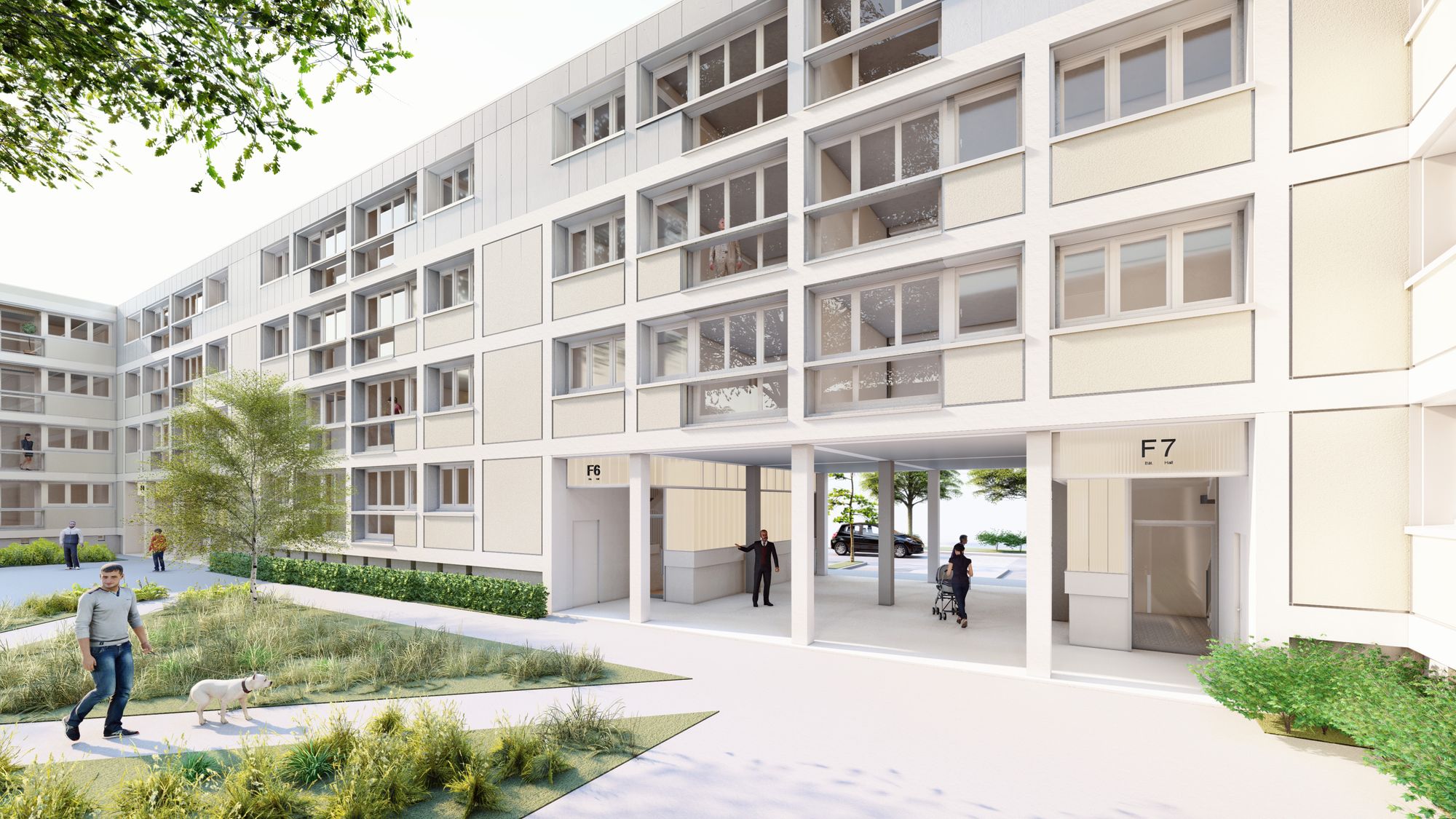 Image-HLM-2--cour--e-jaune-